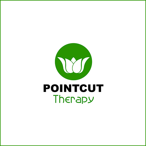 500_pointcut