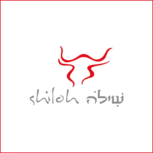 500_shiloh